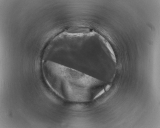 X0000113610402200910161934