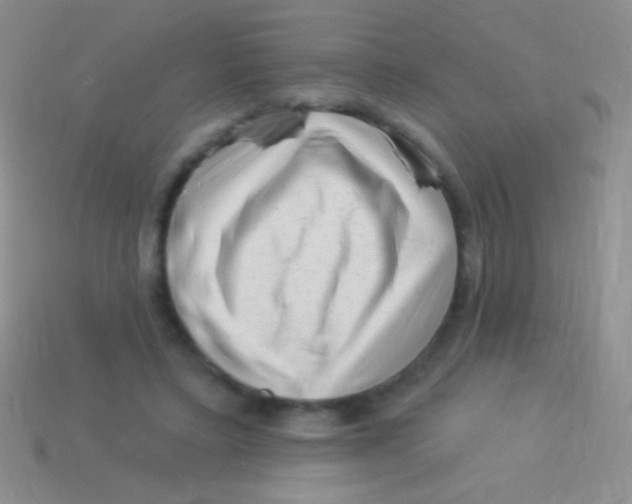 X0000113610403200910161934