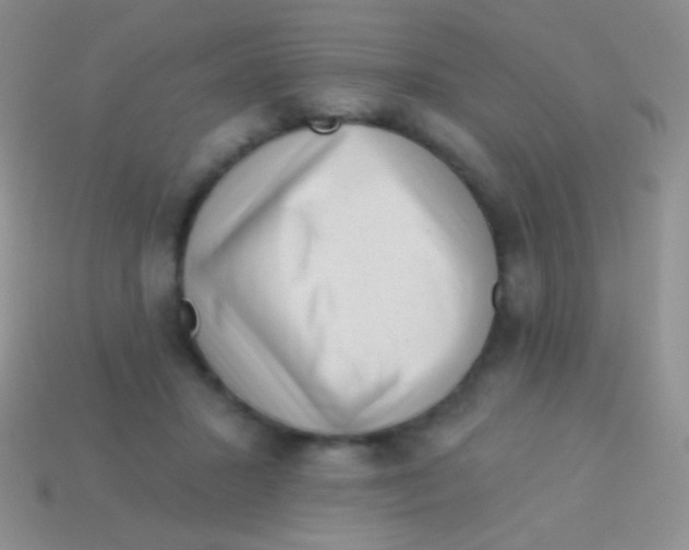 X0000113610407200910161934