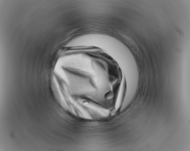 X0000113610409200910161934