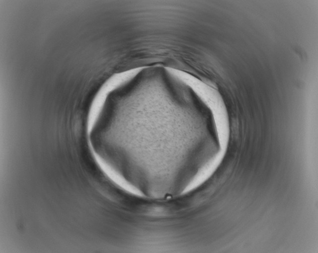 X0000113610412200910161934