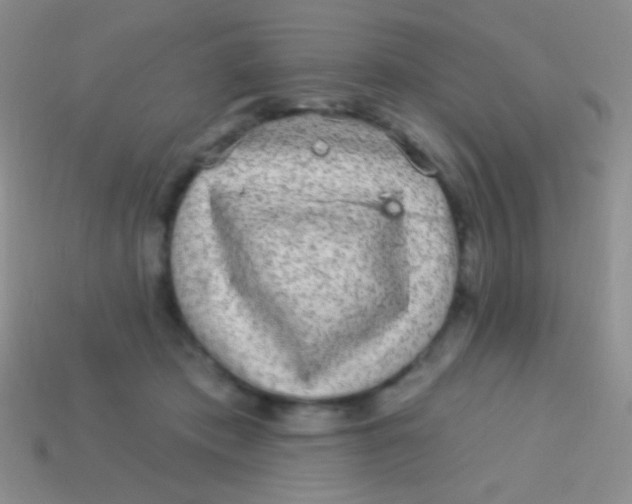 X0000113610413200910161934