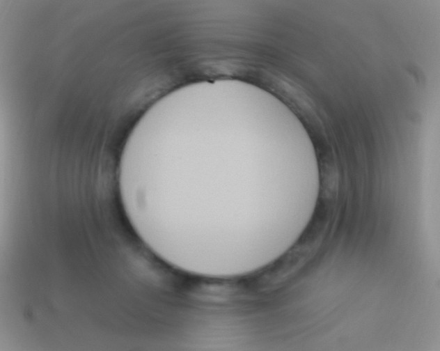 X0000113610414200910161934