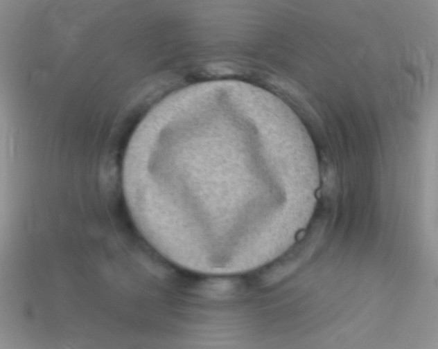 X0000113610418200910161934