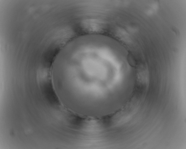 X0000113610419200910161934