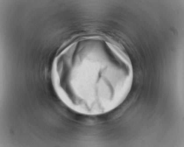 X0000113610420200910161934