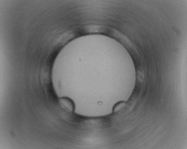 X0000113610422200910161934