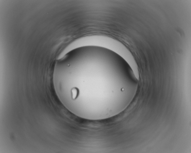 X0000113610423200910161934