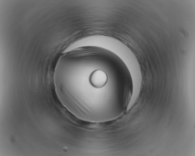 X0000113610425200910161934