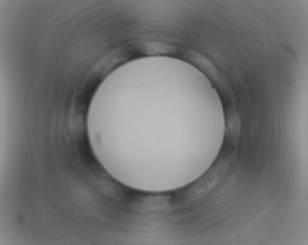 X0000113610426200910161934