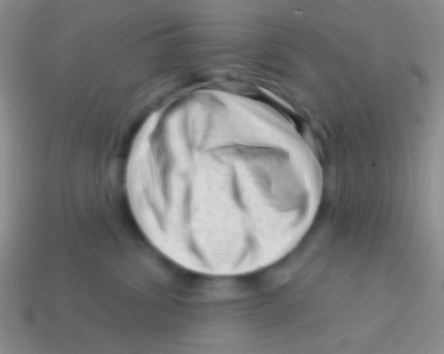 X0000113610428200910161934