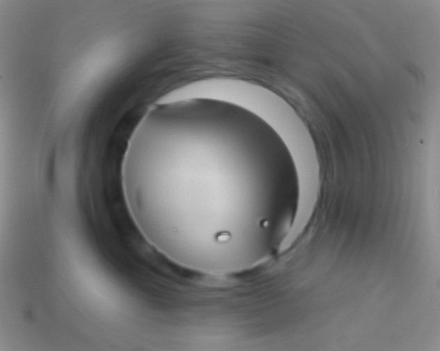 X0000113610429200910161934