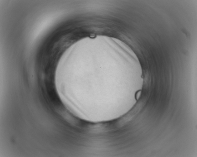 X0000113610430200910161934