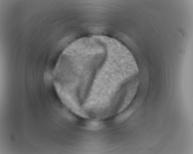 X0000113610432200910161933