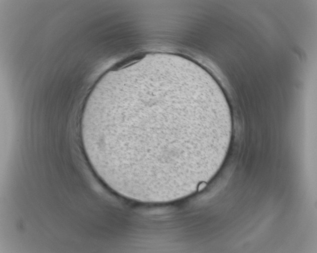 X0000113610433200910161933