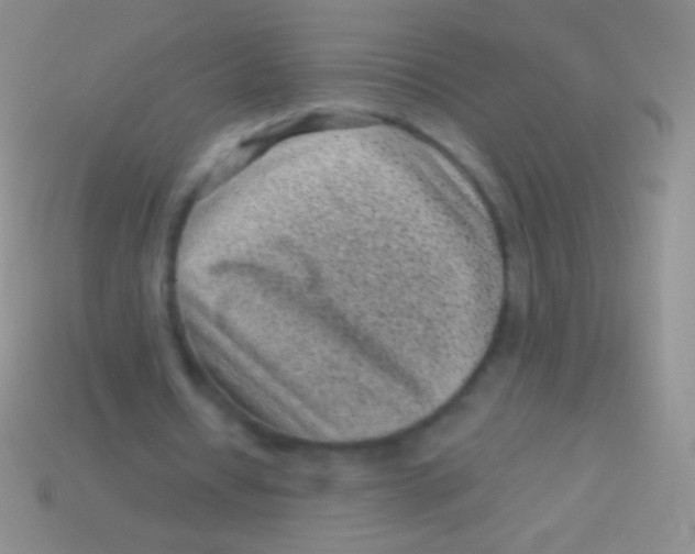 X0000113610434200910161933