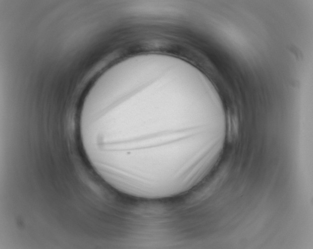 X0000113610435200910161933