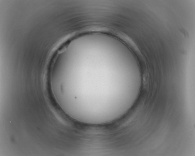 X0000113610436200910161933