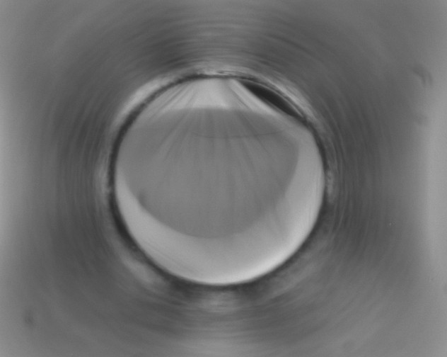 X0000113610438200910161933