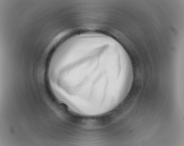 X0000113610440200910161933