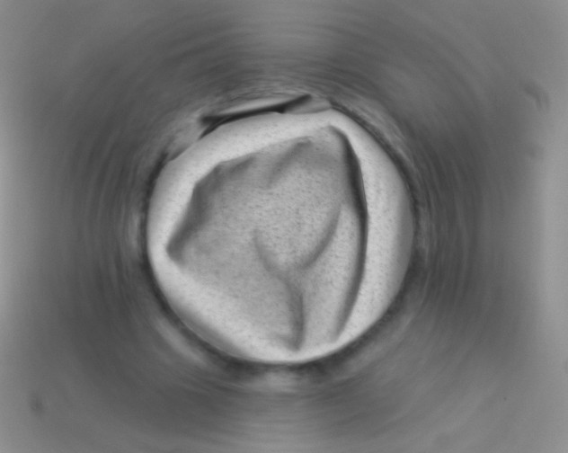 X0000113610441200910161933