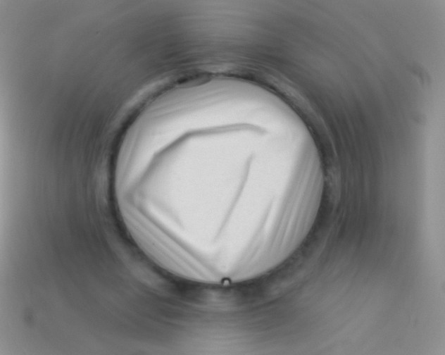 X0000113610442200910161933