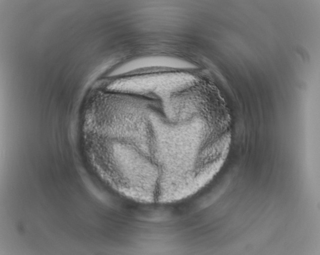 X0000113610443200910161933