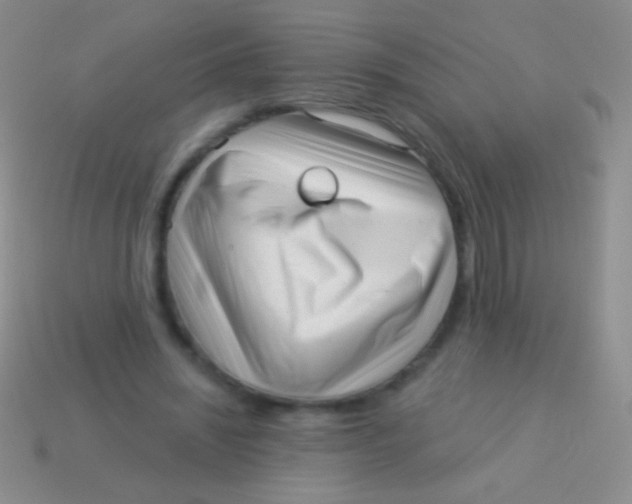 X0000113610444200910161933