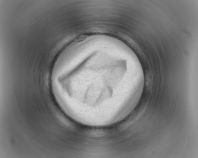 X0000113610445200910161933