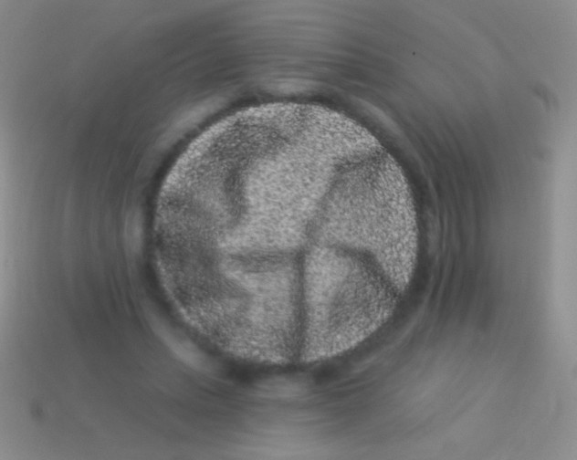 X0000113610447200910161933