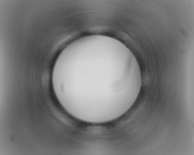 X0000113610448200910161933