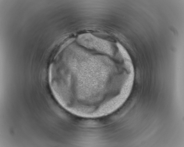 X0000113610449200910161933