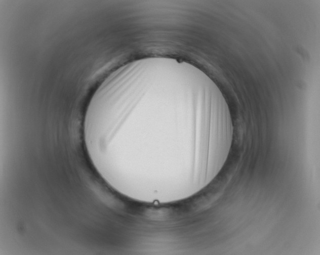 X0000113610450200910161933