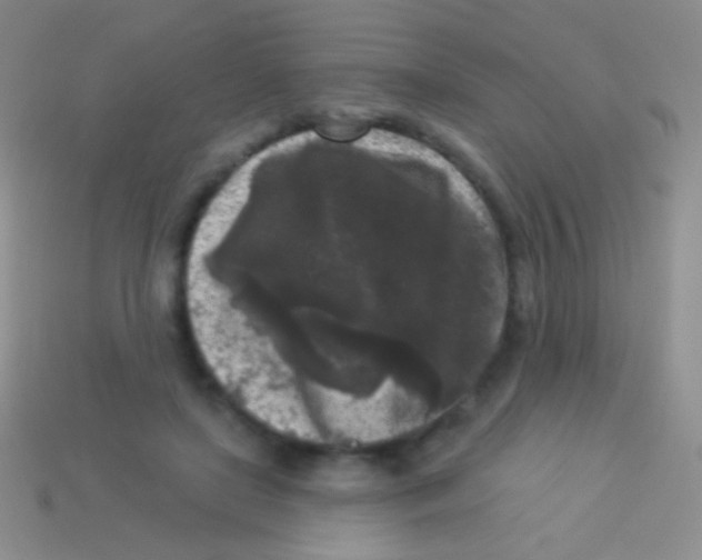 X0000113610451200910161933