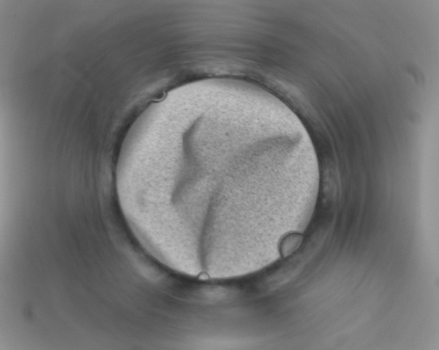 X0000113610453200910161933