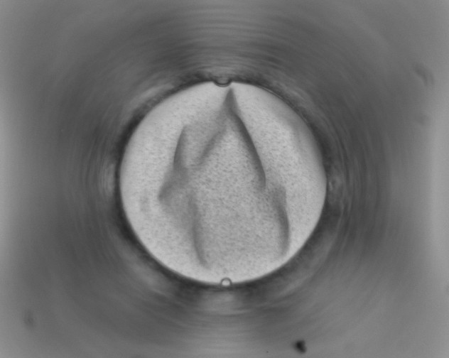 X0000113610454200910161933