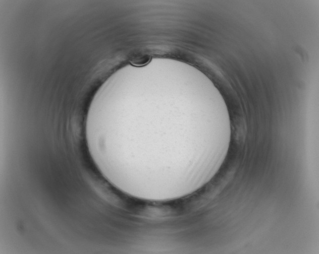 X0000113610455200910161933