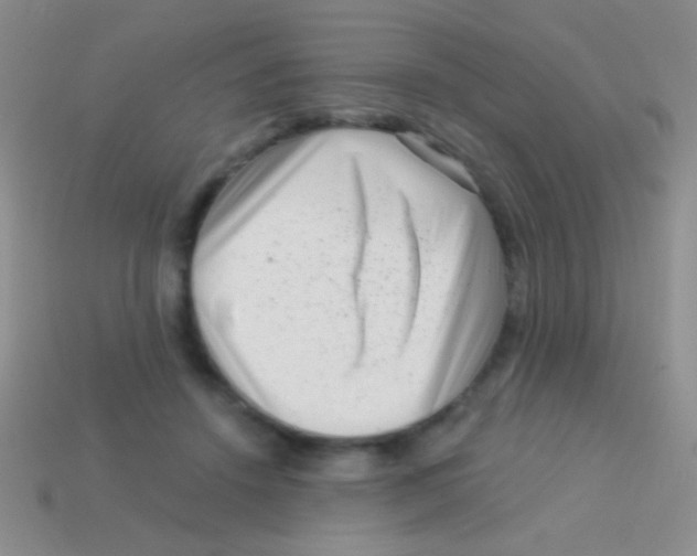 X0000113610456200910161933