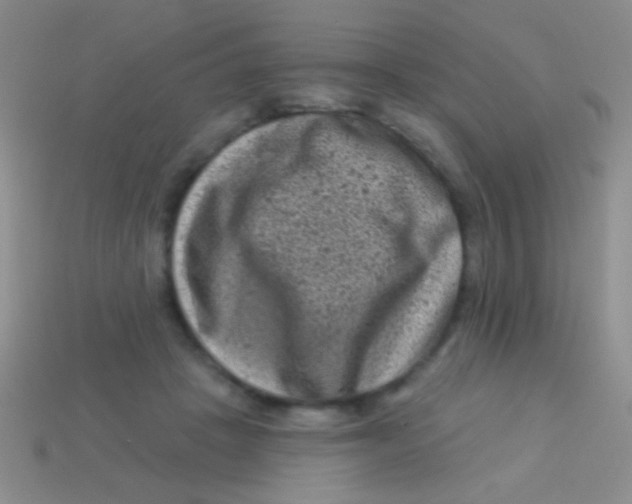 X0000113610457200910161933