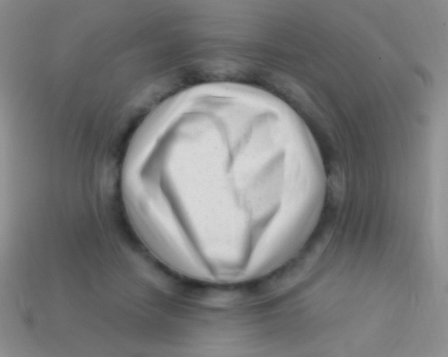 X0000113610458200910161933