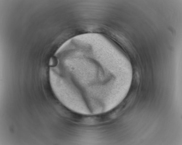 X0000113610461200910161933