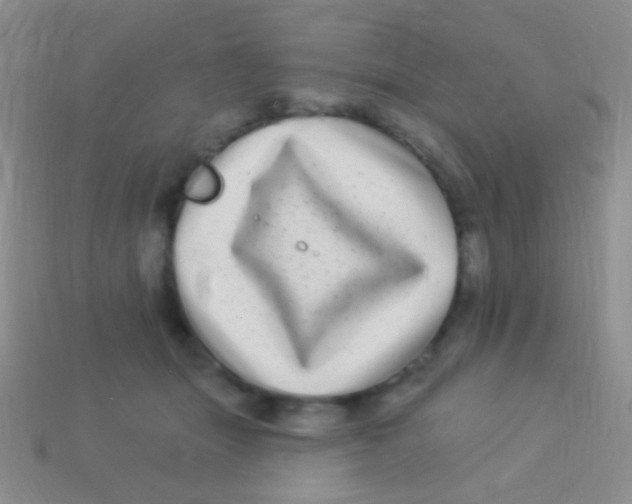 X0000113610463200910161933