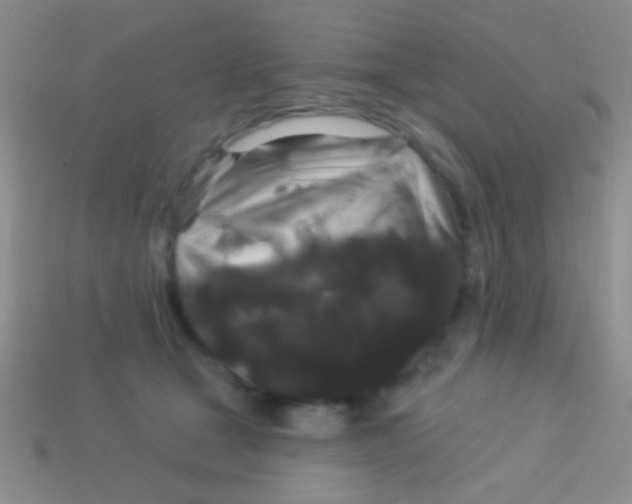 X0000113610465200910161933