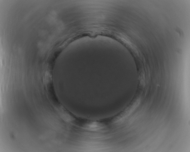 X0000113610467200910161933