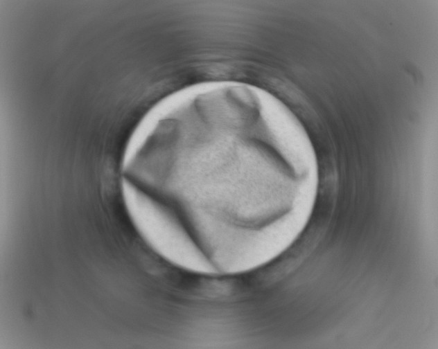 X0000113610469200910161933