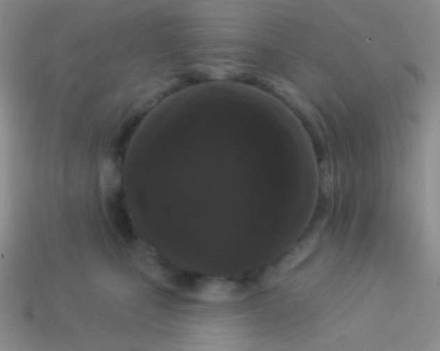 X0000113610471200910161933