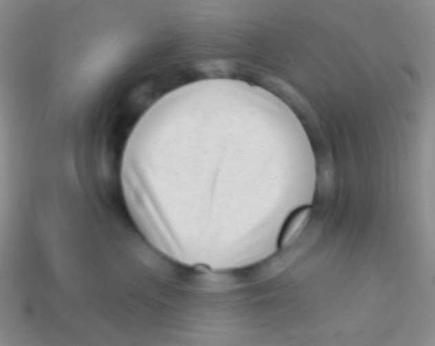 X0000113610477200910161933