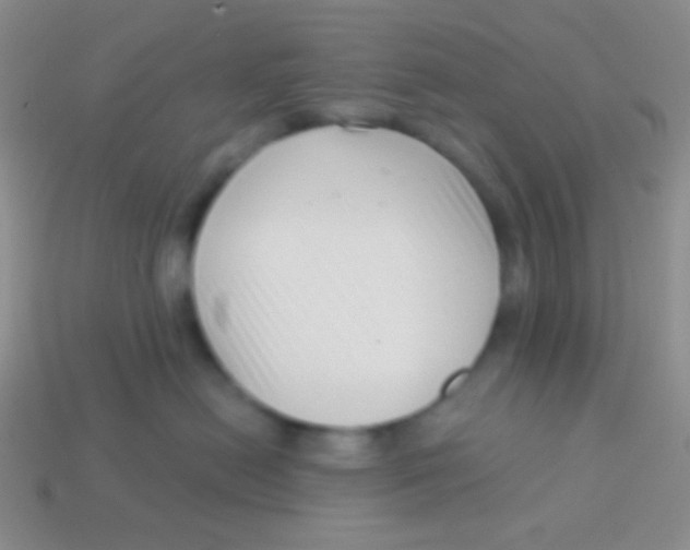 X0000113610478200910161933