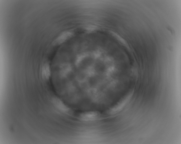 X0000113610479200910161933