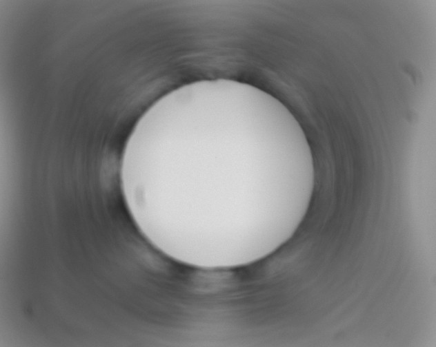 X0000113610480200910161933